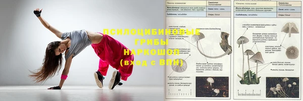 винт Новокубанск