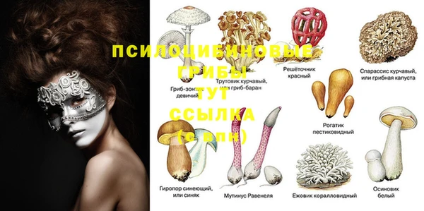 гашишное масло Новозыбков